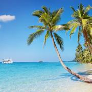 Logitravel