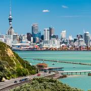 Visiter Auckland & la Nouvelle-Zélande en 10 jours, en van