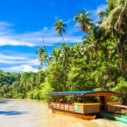 Que faire et que voir à Bohol
