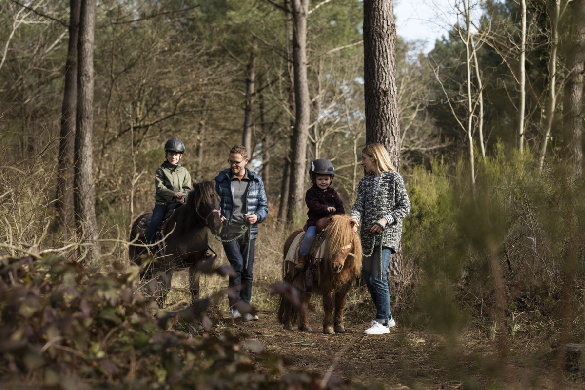 Balade en poney aux Bois aux Daims © crédit photo : Cécil Mathieu