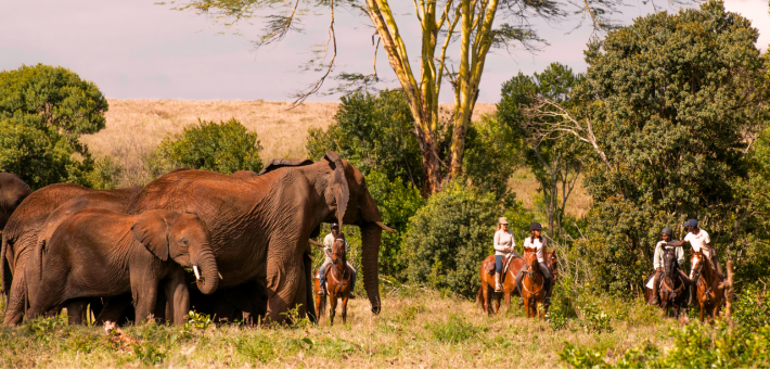 Safari à Cheval