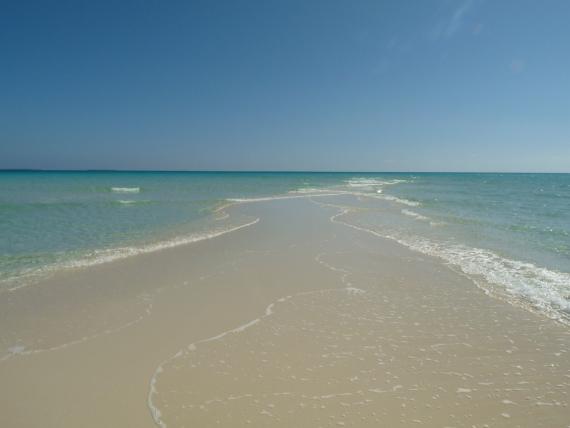 Langue de sable