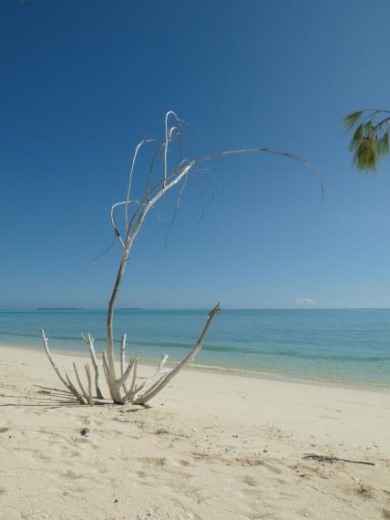 La plage