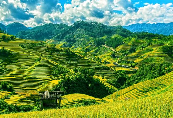 Rizières de Mu Cang Chai