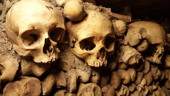 Cranes des Catacombes