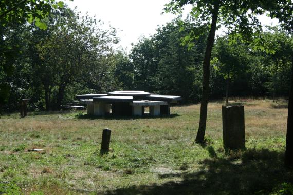 Forêt des Ecrivains Combattant - Crédits photo : Fagairolles-34