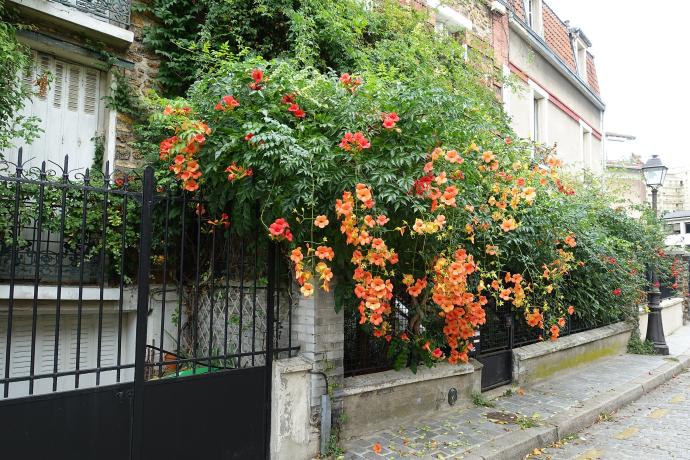 Maisons en fleurs