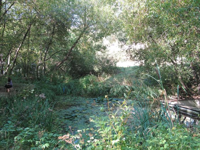 La mare d'eau, abritant grenouilles et tritons
