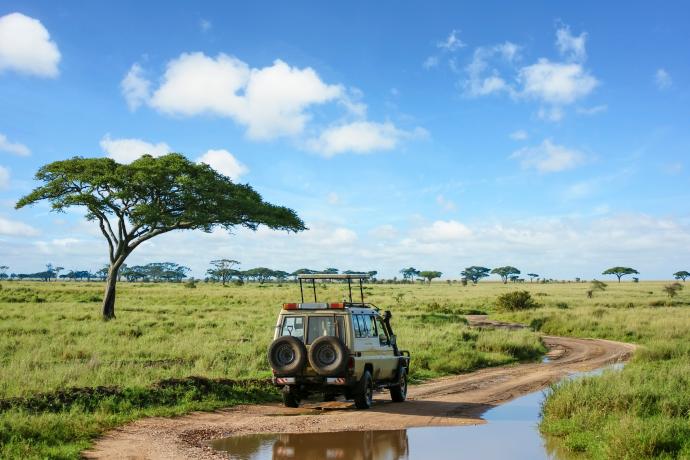 Safari sur mesure en Tanzanie