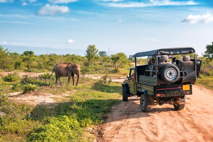 Safari en 4x4