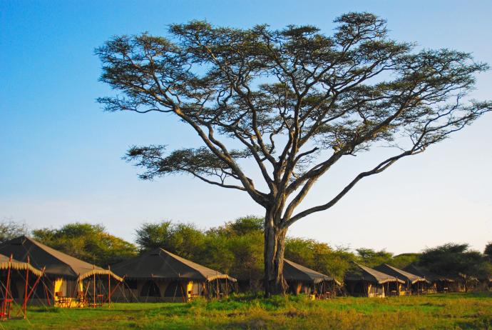 Camp de tentes permanent en Tanzanie