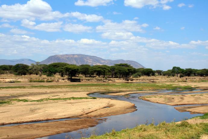Rivière Ruaha durant la saison sèche