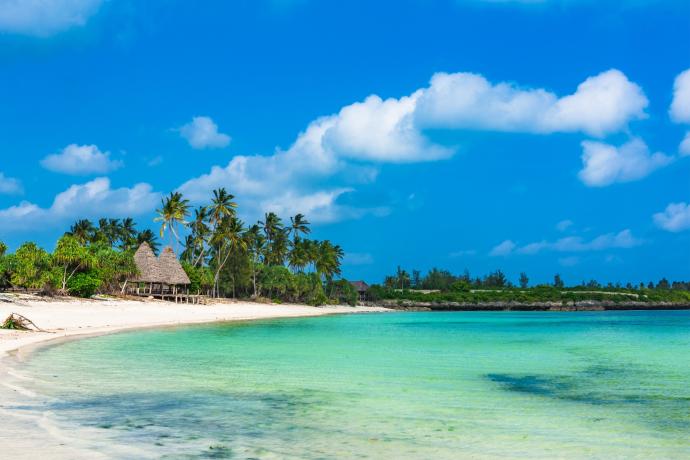 Plage paradisiaque de Zanzibar