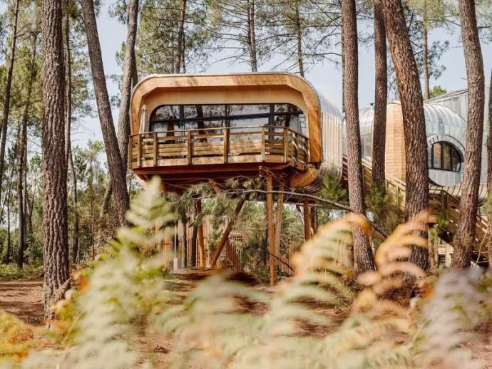 Maison dans les arbres aux Landes de Gascogne