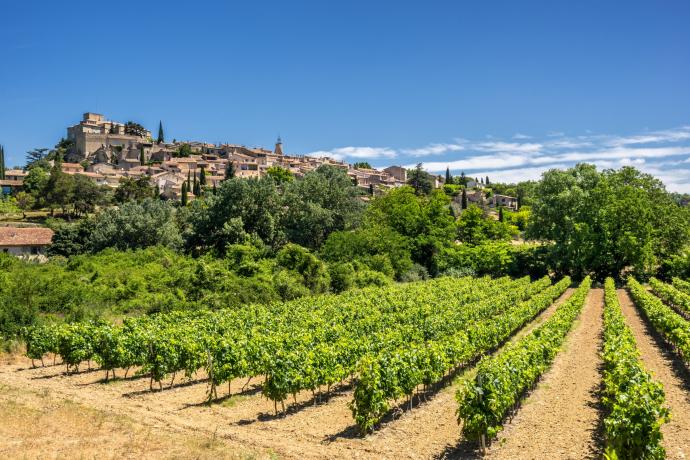 Vignes d'Ansouis