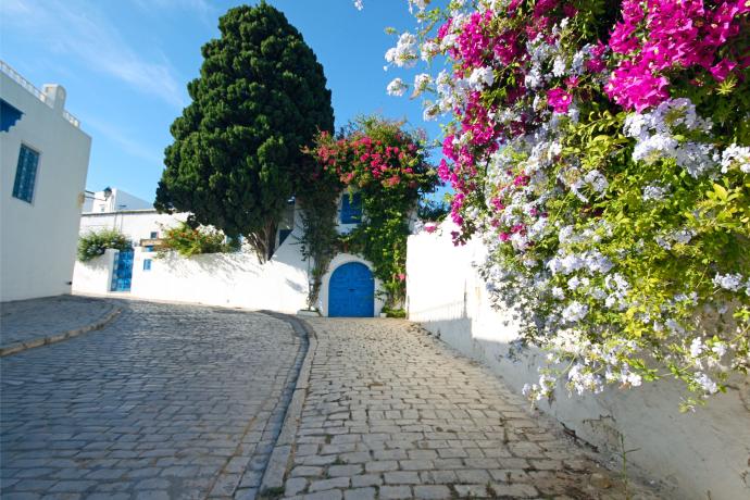 Couleurs de Tunisie