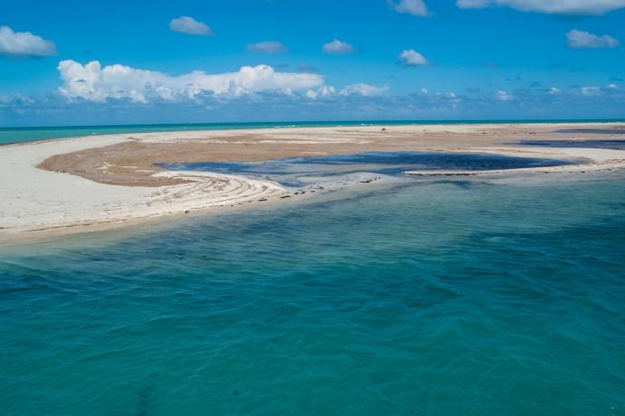 Le littoral sableux de l'ile de Djerba