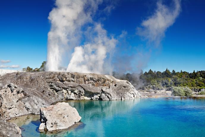 Geyser de Pohutu à Te Puia