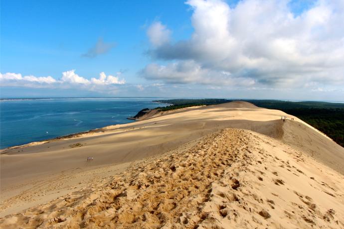 Vue sur le sable, l'océan et la forêt