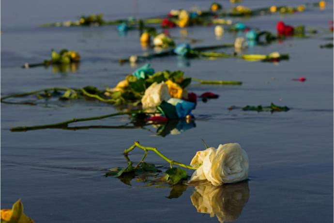 Offrandes de roses pour Iemanj&aacute;