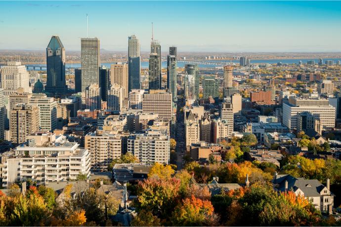 Skylibne de Montr&eacute;al vue depuis Mont Royal