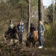 Center Parc le Bois aux Daims - Vienne