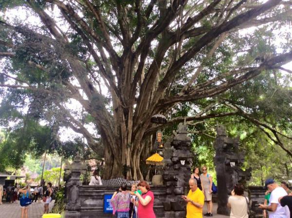 #7 Temple d'Ulun Danu