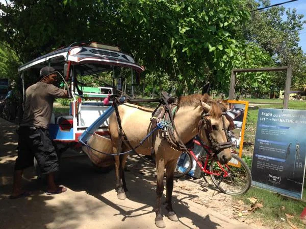 transport à cheval (Indonésie)