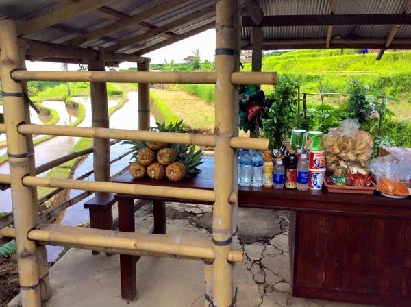 petit abris devant les terrasses de riz (Indonésie)