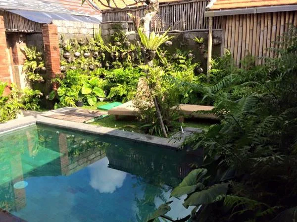 villa louée à ubud — Ubud (Indonésie)
