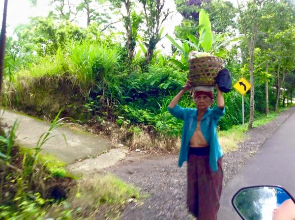 dame âgée transportant des légumes (Indonésie)