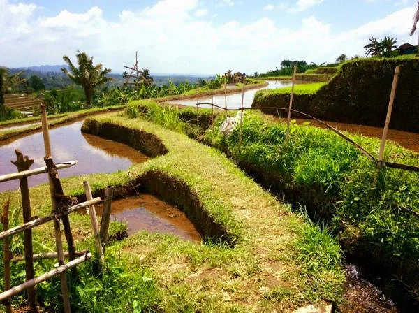 système d'irrigation (Indonésie)