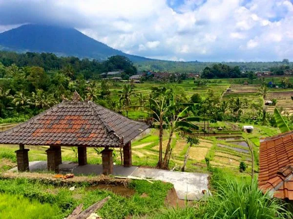 paysage à ubud (Indonésie)