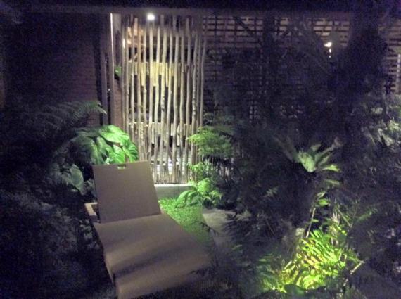 Végétation dans la villa
