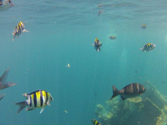 Sous l'eau