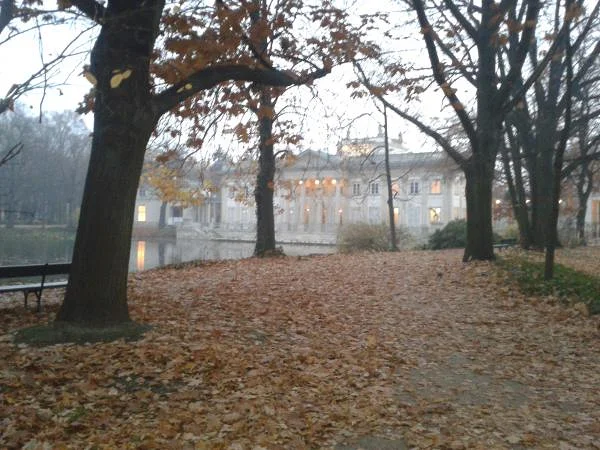 Parc Lazienski — Parc Lazienki (Pologne)