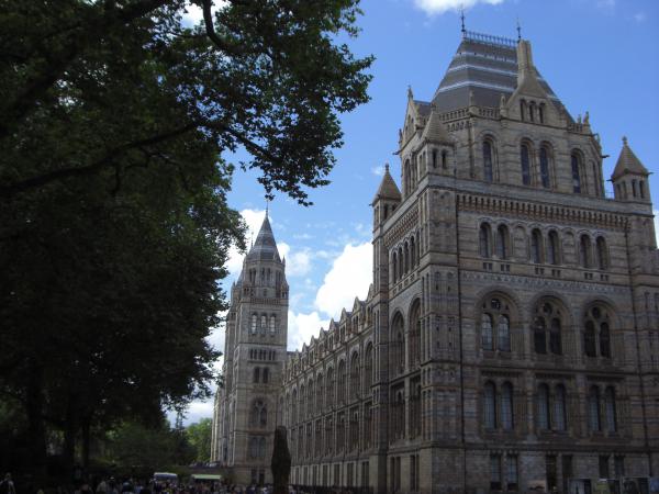 Le musée d'histoire naturelle de Londres