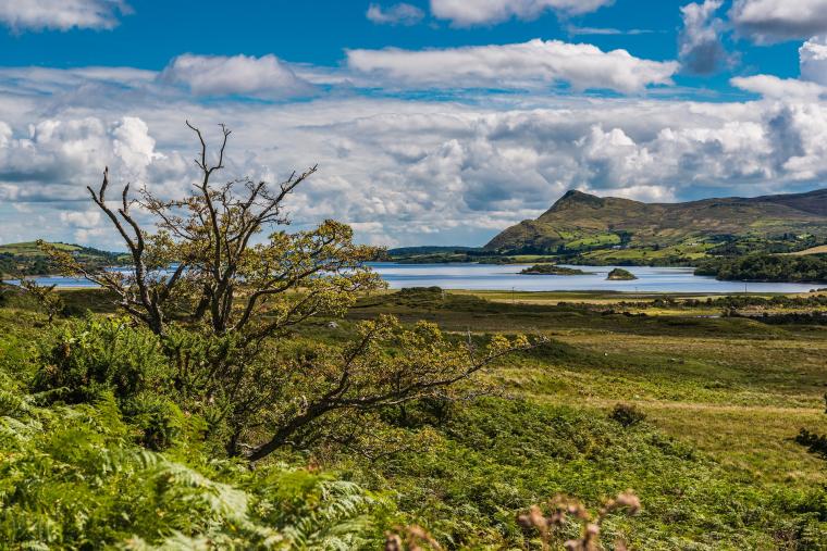Une semaine en Irlande en voyage chez l'habitant