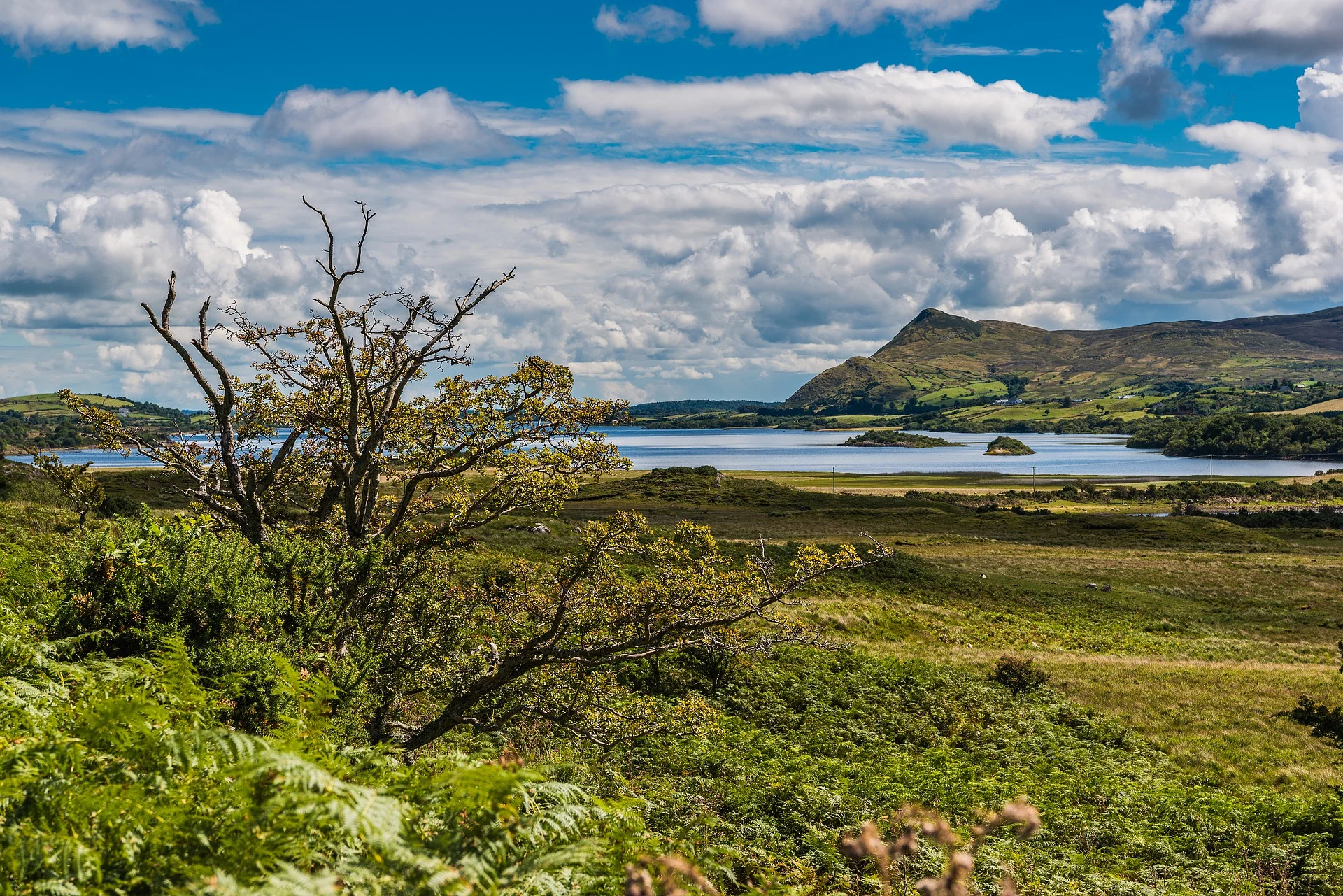 Une semaine en Irlande en voyage chez l'habitant