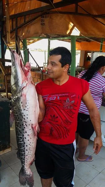Le poisson local (Paraguay)