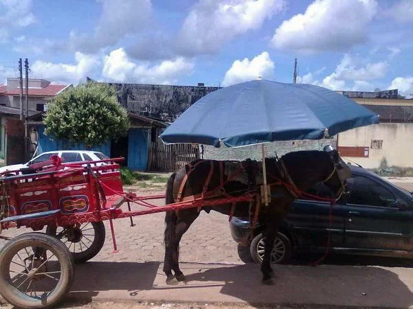 Une chaleur forte (Paraguay)