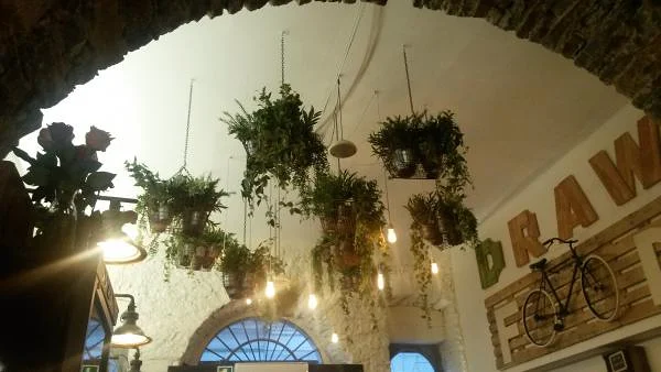 bar draw — Trieste (Italie)