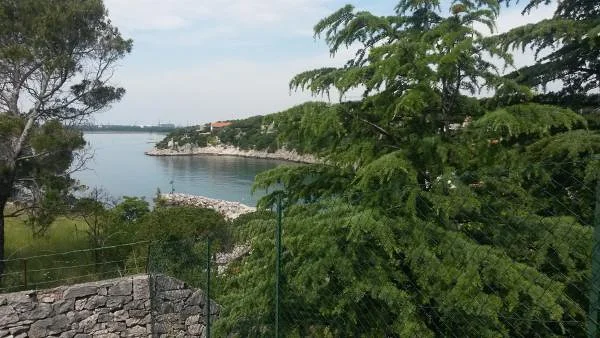ue depuis le parc du miramar caslte ue depuis le parc du miramar caslte — Château de Miramare (Italie)