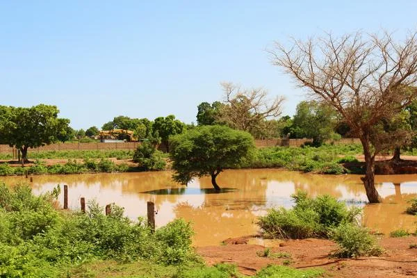 7 (Burkina Faso)