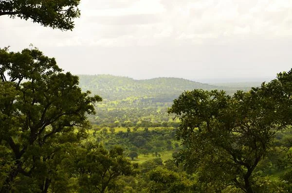 4 (Burkina Faso)