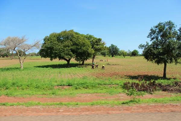 9 (Burkina Faso)
