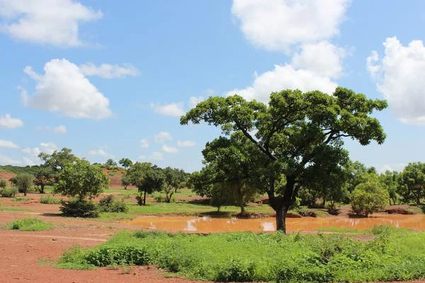 10 (Burkina Faso)