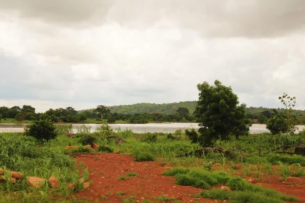 12 (Burkina Faso)