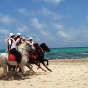4 raisons de partir en vacances à Djerba
