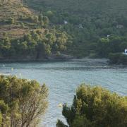 Platja Calis